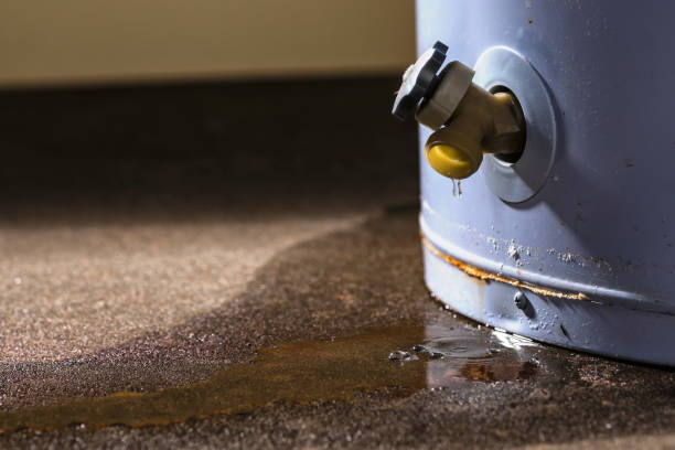 Best Water damage restoration experts  in Rocky Mount, VA