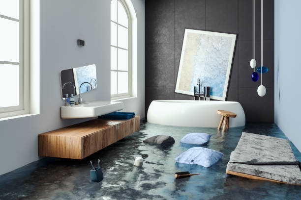 Best Residential water damage restoration  in Rocky Mount, VA