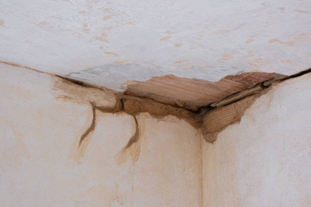 Best Carpet water damage restoration  in Rocky Mount, VA