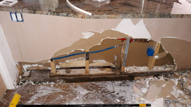 Best Local water damage restoration  in Rocky Mount, VA