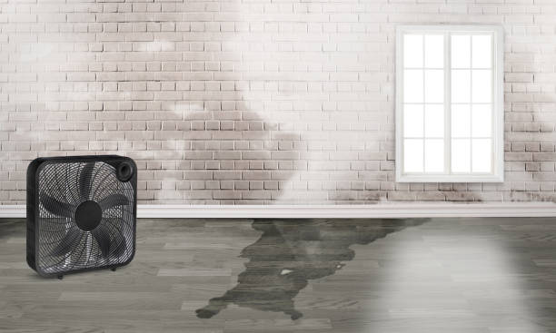  Rocky Mount, VA Water damage restoration Pros