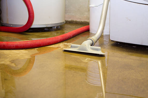 Best Professional water damage repair  in Rocky Mount, VA