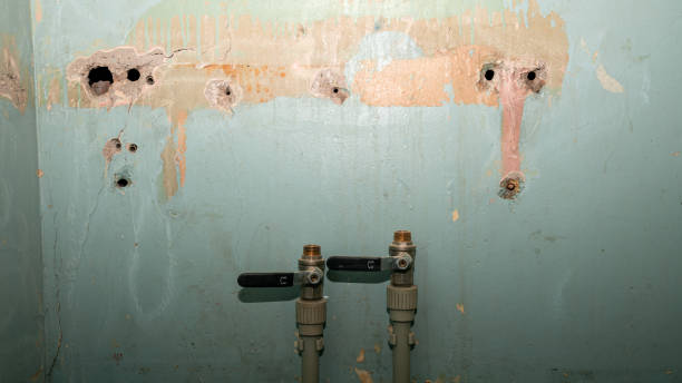 Best Mold removal after water damage  in Rocky Mount, VA