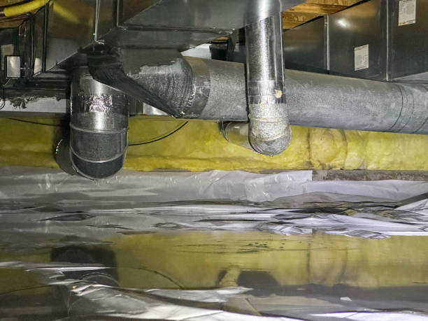 Best Water damage restoration process  in Rocky Mount, VA