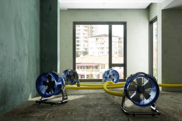 Best Commercial water damage restoration  in Rocky Mount, VA