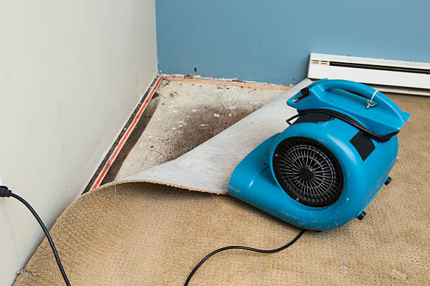 Best Fire Damage Restoration  in Rocky Mount, VA